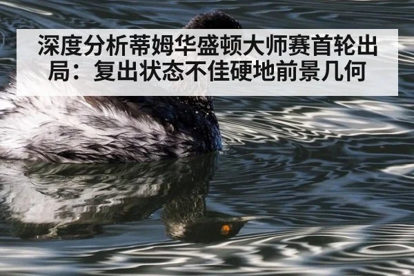 深度分析蒂姆华盛顿大师赛首轮出局:复出状态不佳硬地前景几何