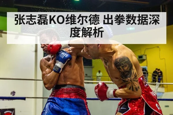 boxing punch knockout